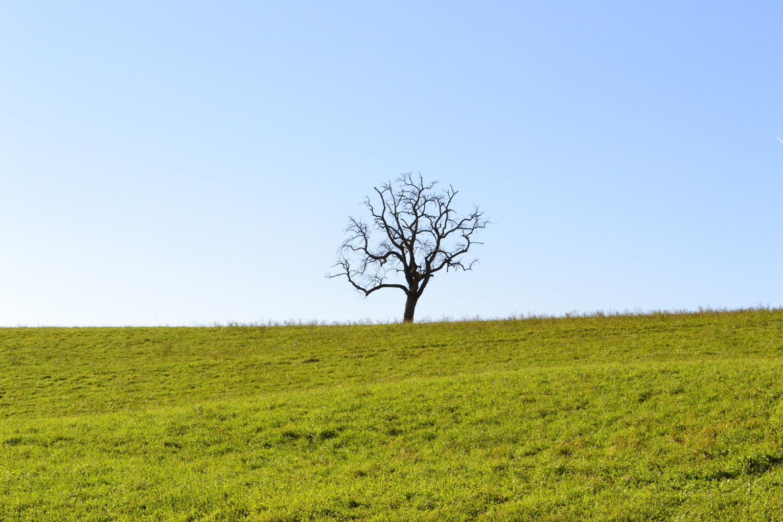 Seminar Jörg 19.10 006